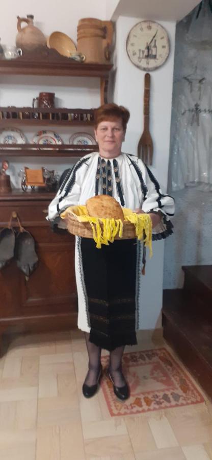 Pensiunea Iulia Rod Esterno foto